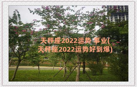 天秤座2022运势 事业(天秤座2022运势好到爆)